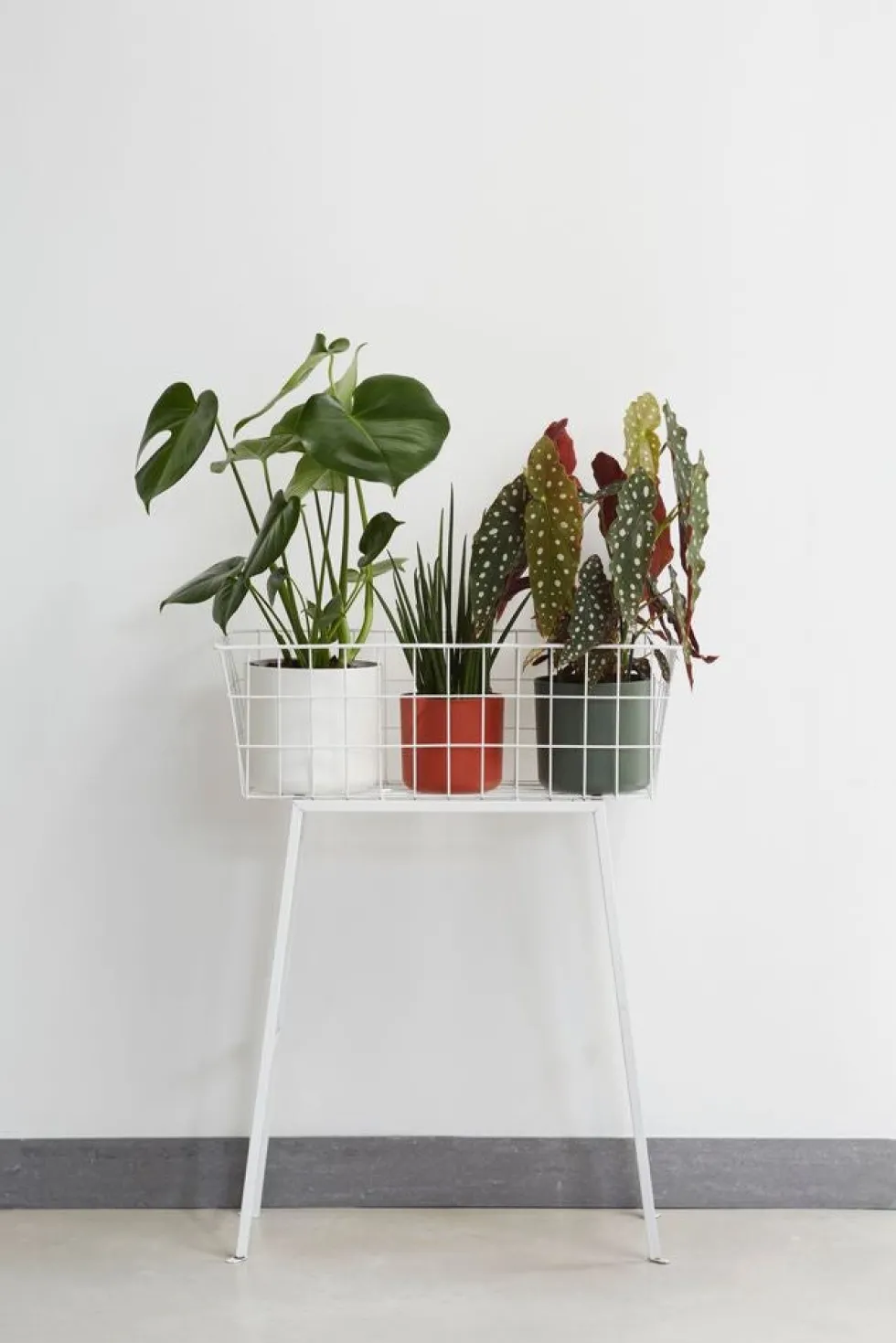 Elho bloempot B. for soft wit D 16 H 15 cm