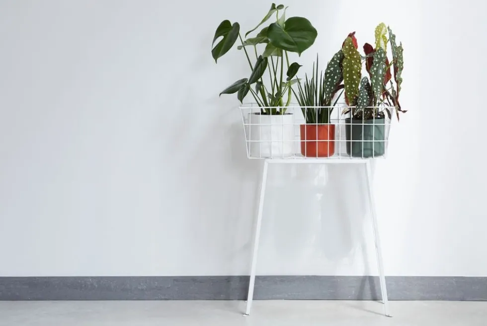 Elho bloempot B. for soft wit D 16 H 15 cm