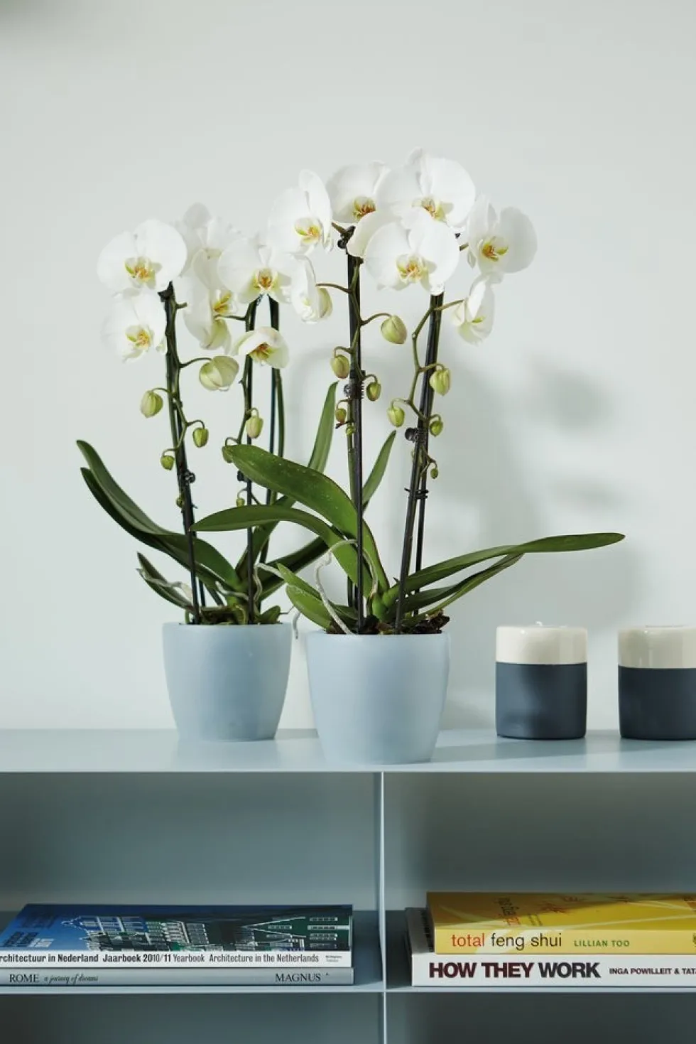 Elho bloempot Brussels orchidee transparant D 16 H 14,6 cm