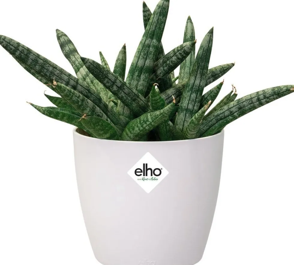 Elho bloempot Brussels wit D 11 H 9,7 cm
