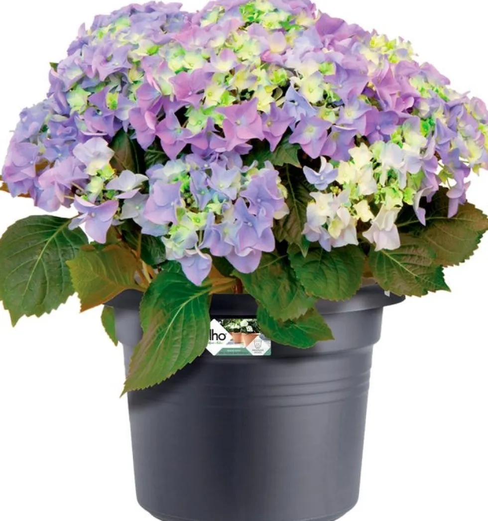 Elho bloempot Green Basics zwart D 29,5 H 22,4 cm