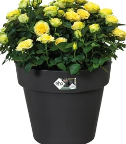 Elho bloempot Green Basics zwart D 23 H 19,6 cm