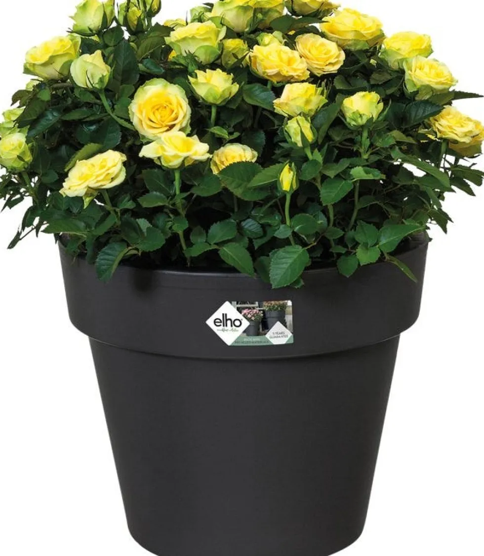 Elho bloempot Green Basics zwart D 23 H 19,6 cm