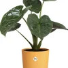 Elho bloempot Jazz geel D 26 H 24,2 cm