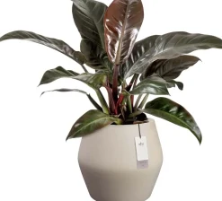 Elho bloempot June Split beige D 46 H 42 cm