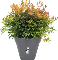 Elho bloempot Loft Urban antraciet D 24,5 H 22 cm