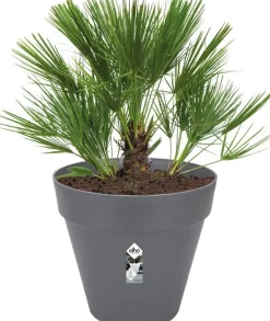 Elho bloempot Loft Urban antraciet D 54 H 58 cm