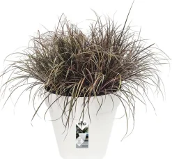 Elho bloempot Loft Urban wit D 48,5 H 44,5 cm
