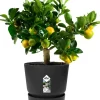 Elho bloempot met waterreservoir Greenville zwart D 24,5 H 23,3 cm