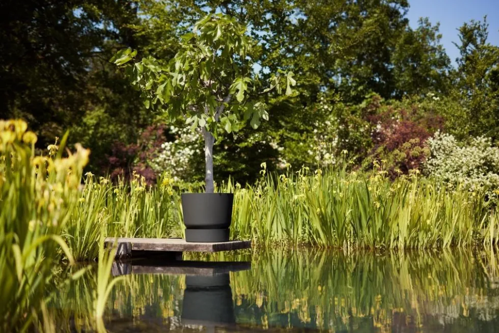 Elho bloempot met waterreservoir Greenville zwart D 50 H 55 cm