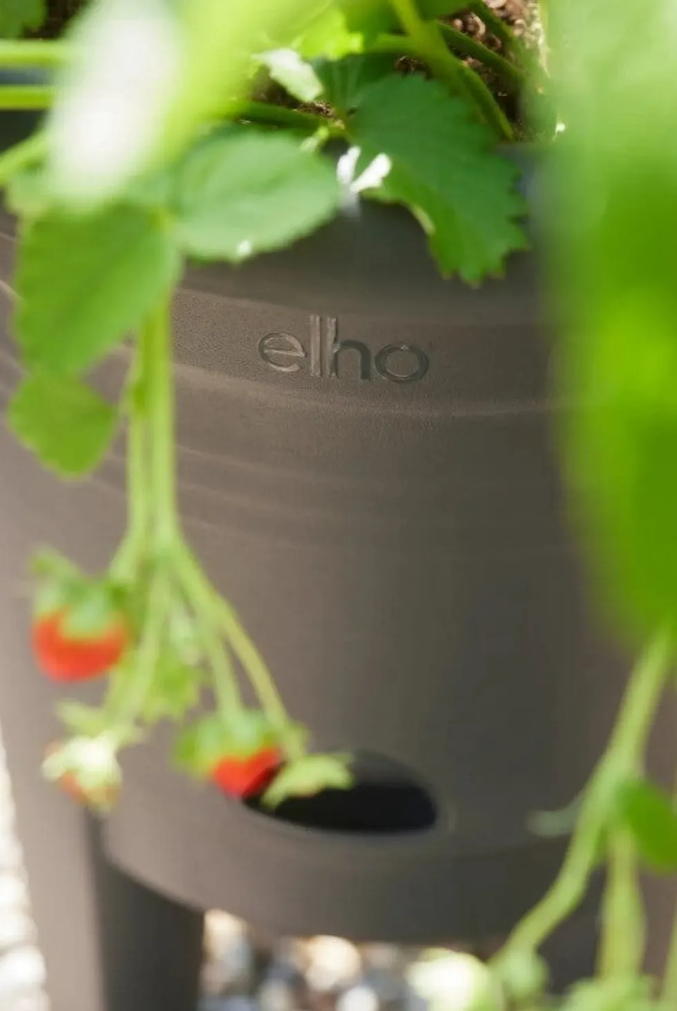Elho bloempot op poten Green Basics zwart D 33 H 42 cm