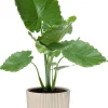 Elho bloempot Vibes wit D 22,02 H 20,1 cm