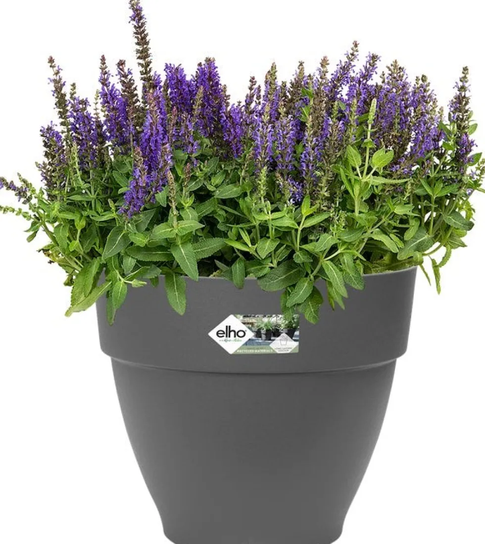 Elho bloempot Vibia Campana antraciet D 29,8 H 25,8 cm