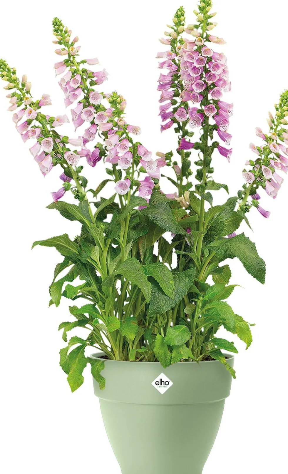 Elho bloempot Vibia Campana groen D 47 H 55 cm
