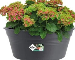 Elho Green Basics schaal 33cm living black