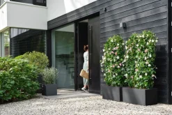 Elho plantenbak Vivo Next zwart 29,5 x 29,5 x 29,5 cm