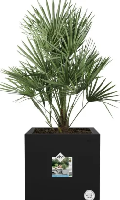 Elho plantenbak Vivo Next zwart 29,5 x 29,5 x 29,5 cm