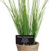 Esschert Design kunstplant Bieslook H 27 cm