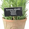 Esschert Design kunstplant Rozemarijn D 10,4 H 18 cm