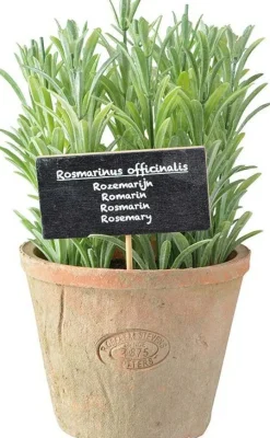 Esschert Design kunstplant Rozemarijn D 10,4 H 18 cm