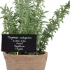 Esschert Design kunstplant Tijm H 21,5 cm