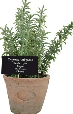 Esschert Design kunstplant Tijm H 21,5 cm