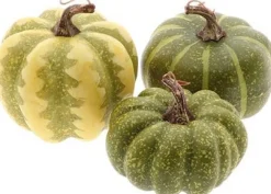 HBX beeld Harvest pompoen groen D 8 H 8 cm 3 stuks