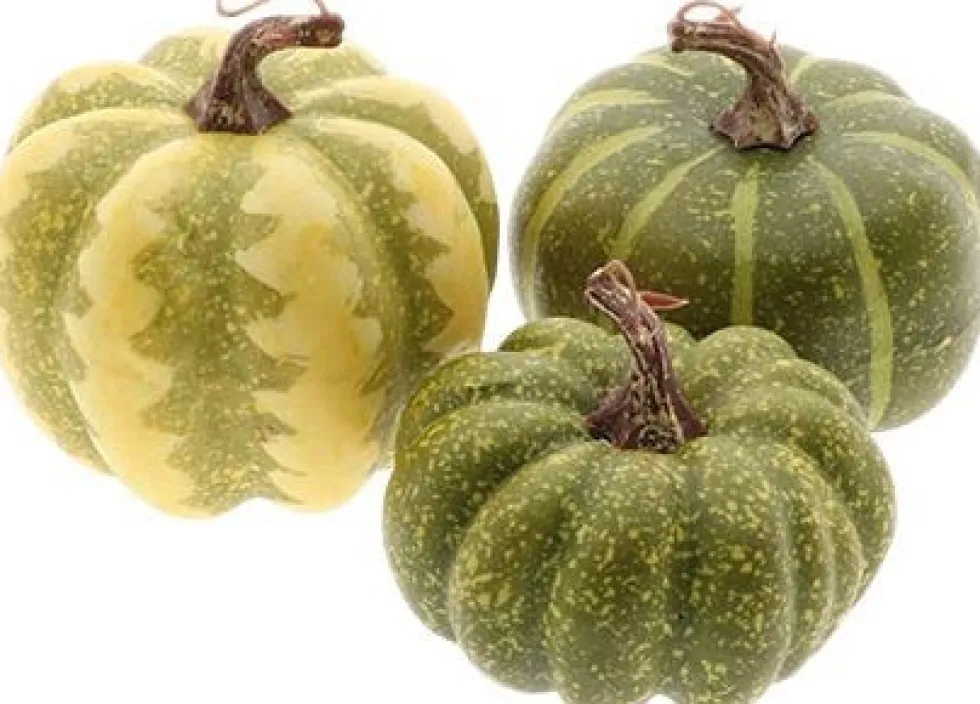 HBX beeld Harvest pompoen groen D 8 H 8 cm 3 stuks
