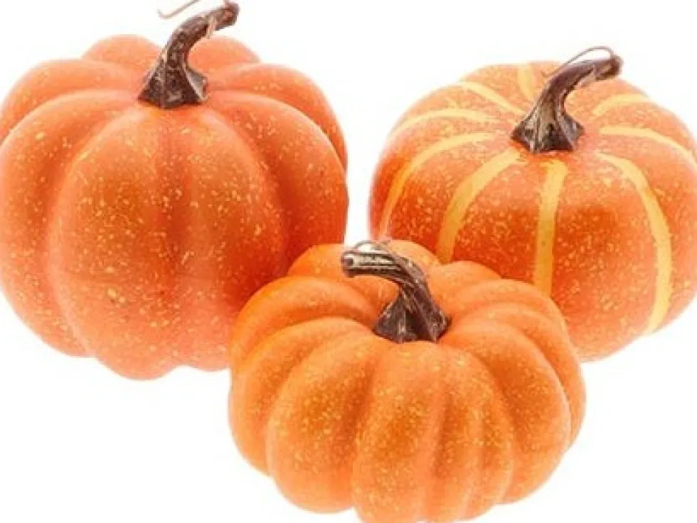HBX beeld Harvest pompoen oranje D 8 H 8 cm 3 stuks