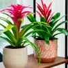 HS bloempot Avion crème D 20 H 18 cm