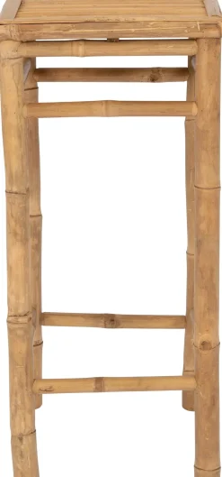 Intratuin bijzettafel Tropisch 35 x 35 x 76 cm