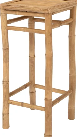 Intratuin bijzettafel Tropisch 35 x 35 x 76 cm
