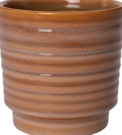 Intratuin bloempot Noud terracotta D 8 H 8 cm