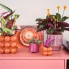 Intratuin bloempot op poten Eloi paars D 8 H 7,5 cm