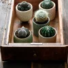 Intratuin bloempot op voet Loan crème D 11 H 13 cm