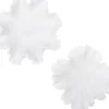 Intratuin decoratieschaal Josi wit D 32 H 10 cm
