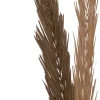 Intratuin decoratie tak bruin H 145 cm