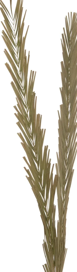 Intratuin decoratie tak groen H 145 cm