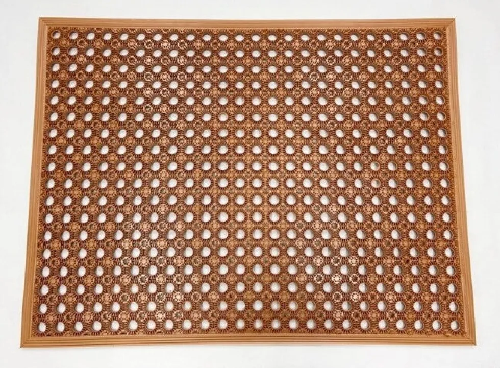 Intratuin deurmat bruin 48 x 62 x 1,5 cm