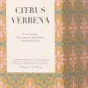 Intratuin geurstokjes Aila Citrus Verbena 100 ml
