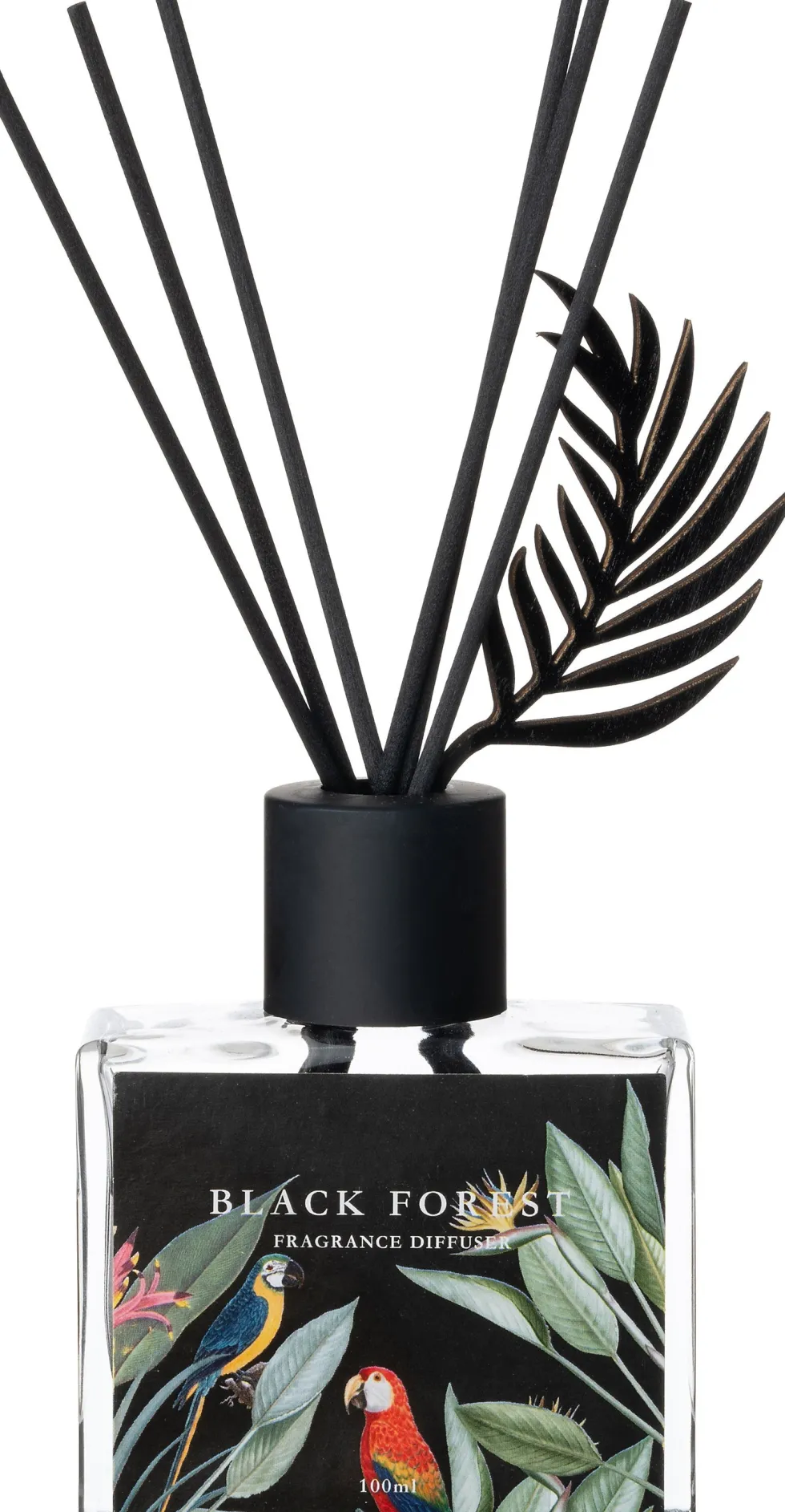 Intratuin geurstokjes Tropic Black Forest 100 ml
