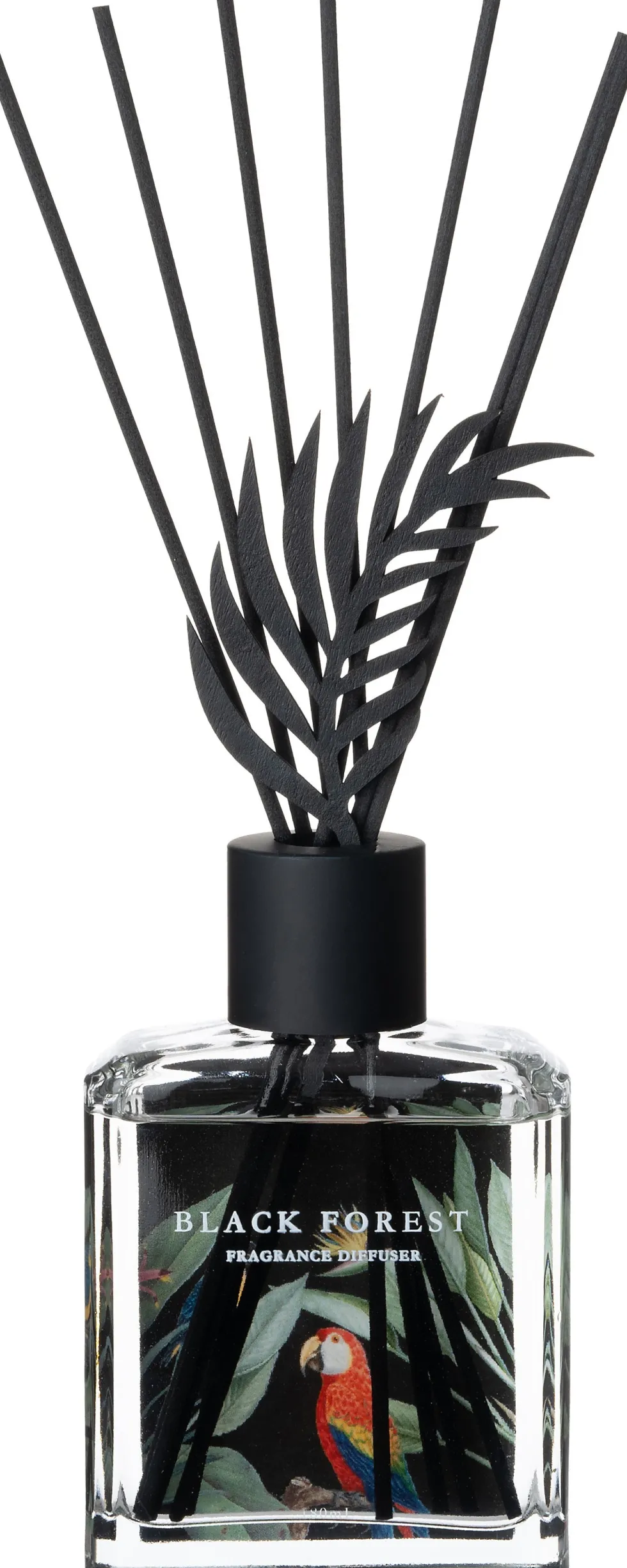 Intratuin geurstokjes Tropic Black Forest 180 ml