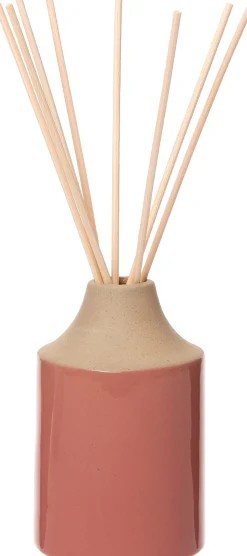 Intratuin geurstokjes Vanilla 100 ml