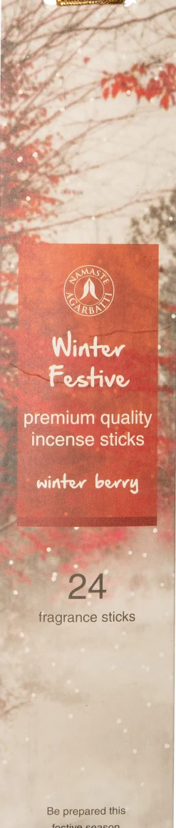 Intratuin geurstokjes Winter Festive winterbes 24 stuks