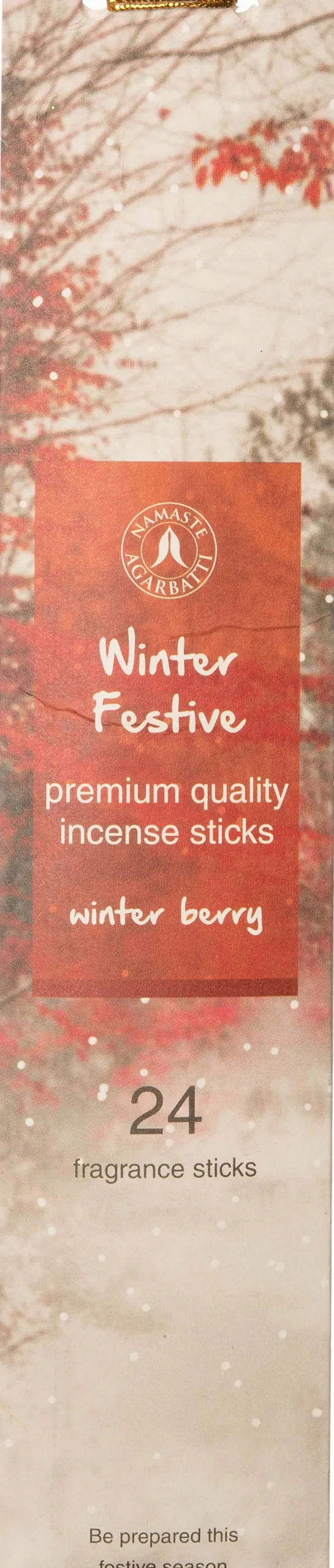 Intratuin geurstokjes Winter Festive winterbes 24 stuks