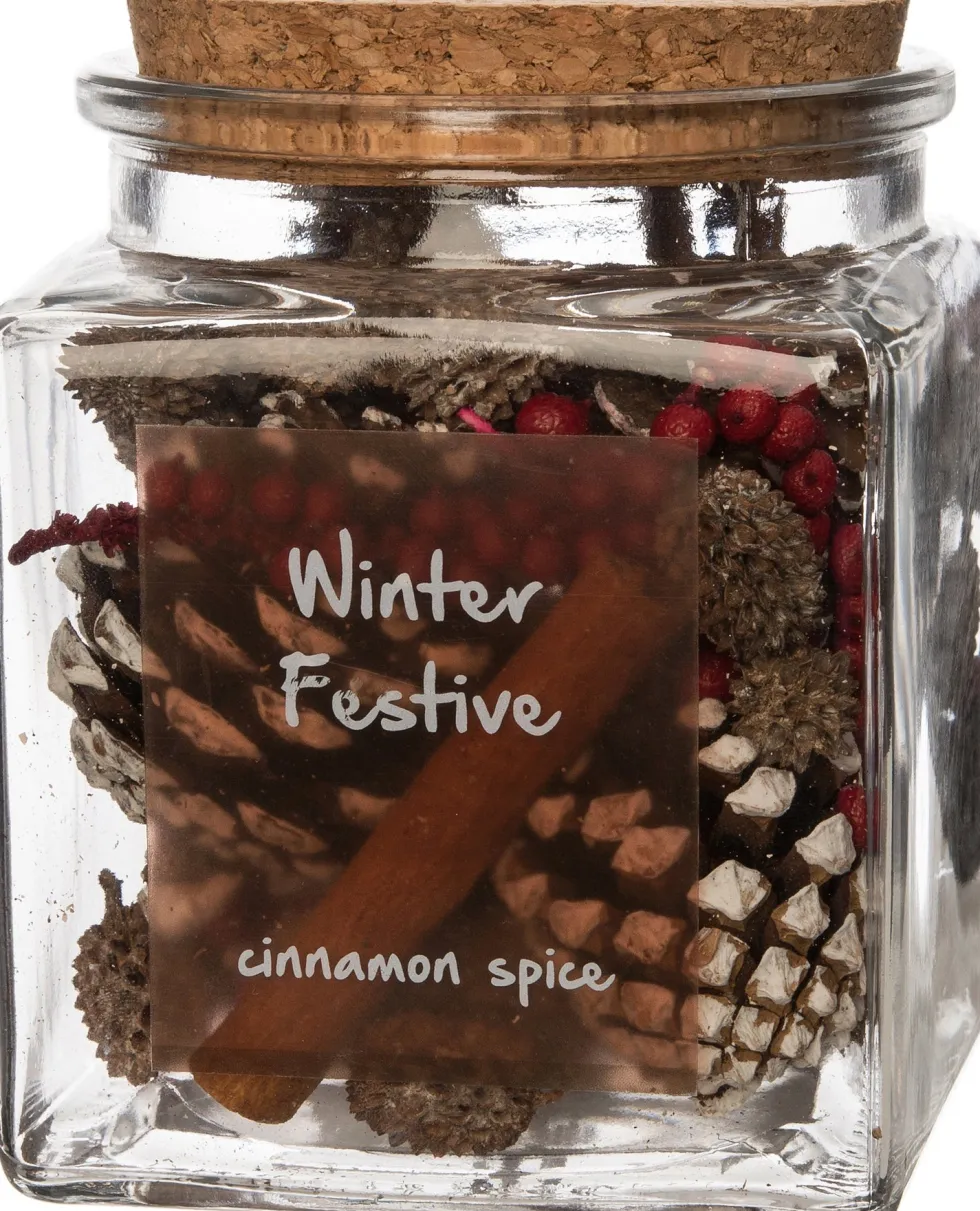 Intratuin geurverspreider Winter Festive kaneel 10 x 10 x 12 cm