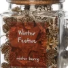 Intratuin geurverspreider Winter Festive winterbes 10 x 10 x 12 cm