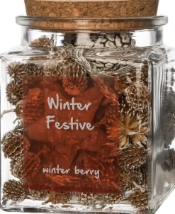 Intratuin geurverspreider Winter Festive winterbes 10 x 10 x 12 cm
