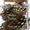 Intratuin geurverspreider Winter Festive dennenbos 10 x 10 x 12 cm