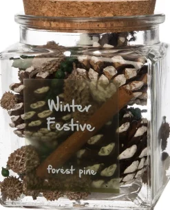 Intratuin geurverspreider Winter Festive dennenbos 10 x 10 x 12 cm